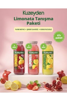KUZEYDEN Limonata Tanışma Paketi | 6x250ml | İlave şeker katkı ve koruyucu madde içermez | %100 Meyve