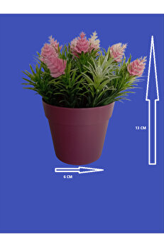 Yapayçi̇çekhome Yapay Çi̇çek Kozalaklı Boyutları 6 Cm X 13 Cm