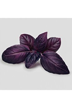 Floramut Mor Fesleğen Reyhan Tohumu-1 Gram