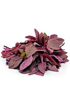 Zengarden Ev Ve Bahçe Kırmızı Amaranth Tohumu Geleneksel Şifalı Amaranthus Red Garnet