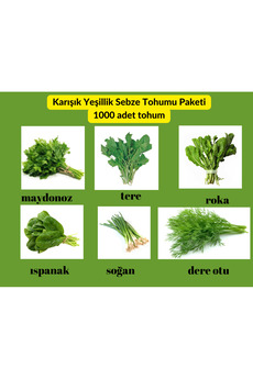 Bade Shop Yeşillik Sebze Tohum Paketi - 6 Çeşit Tohum Maydanoz, Tere, Roka, Dereotu ,Soğan,Ispanak 1000 Adet
