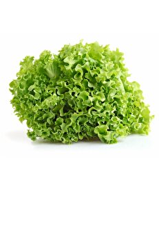 ERDEM GARDEN Doğal Marul Arapsaçı 1000 Ad. Tohum