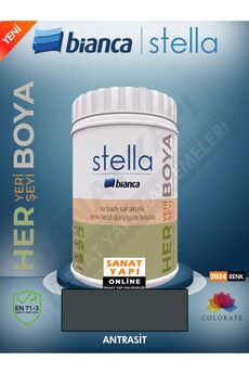 Bianca Stella Boya -antrasit Dolap-fayans-cam-plastik-ahşap