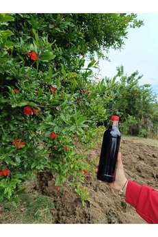 Hanımın Elinden Nar Ekşisi 1 Litre