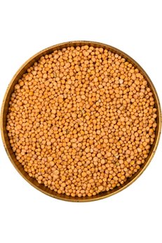 Bade Shop Hardal Sarı Tane Tohumu - 100 Gr