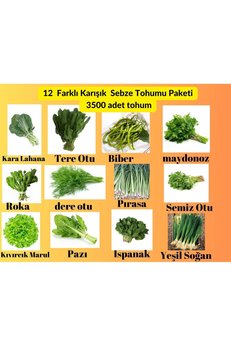 Bade Shop 12 Çeşit Sebze Tohum Paketi - Maydanoz, Tere, Roka, Dereotu ,Soğan,Ispanak ,Marul,Biber,Pırasa,Pazı