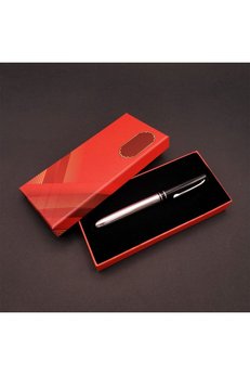 Evimdeyokyok Metal Silver Kalem Kutulu