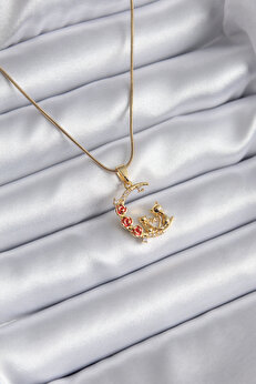 Tj 316L Çeli̇k Gold Renk Hi̇lal Kedi̇ Model Zi̇rkon Taşlı Detay Kadın Kolye Tj-Bko8140