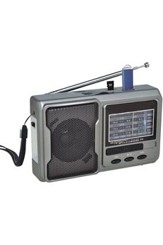 STOREMAX Tepe FP-1781BT Mini Cep Radyosu Bluetooth Hoparlör FM Radyo LED Işıklı Şarjlı USB Micro SD MP