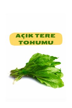 Arzuman Tohumculuk Tere Tohumu (Açık)50G