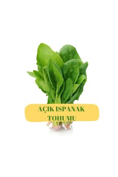 Arzuman Tohumculuk Ispanak Tohumu (Açık)50G