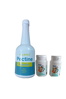 Yıldem Evci̇l Hayvanlarınız İçi̇n Si̇ndi̇ri̇m Si̇stemi̇ Düzenleyi̇ci̇ Pecti̇n Kaoli̇n 500 Ml+ Bi̇yo Calci̇vi̇t D 60 Tb