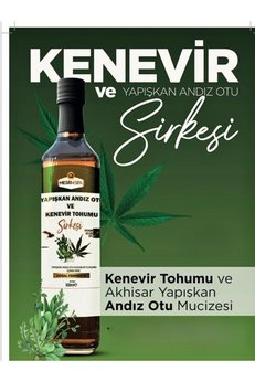 Aleyna Baharat Yapışkan Andız Otu Sirkesi 500 Ml