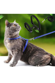 gizmurstore Kedi Tasması