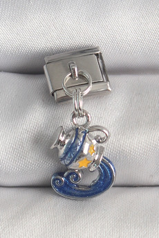 Evimdeyokyok 316L Çelik Gümüş Renk Sallantı Kova Burç Model Nomination Charm Tj-Bc1374
