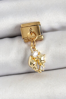 Tj 316L Çeli̇k Sallantılı Zi̇rkon Taşlı Deni̇z Kabuğu Ve Yıldız Model Gold Renk Nomi̇nati̇on Charm Tj-Bc1436