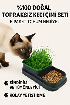 TRENDMEN %100 Doğal Topraksız Kedi Çimi Seti 5 Paket Tohum Hediyeli, Sindirim ve Tüy Önleyici,Kolay Yetiştir