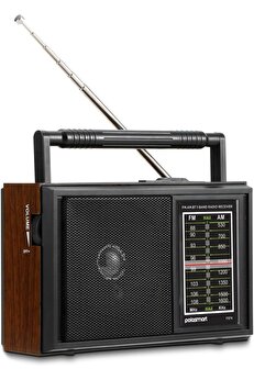 STOREMAX FS74 Nostaljik Radyo Siyah 1014773