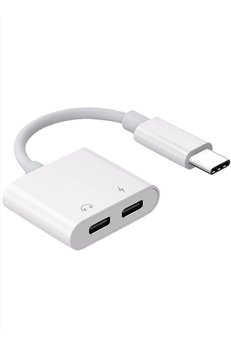 Evimdeyokyok Zr293 Ftac42 Type-C 2 İn 1 Converter Adaptör