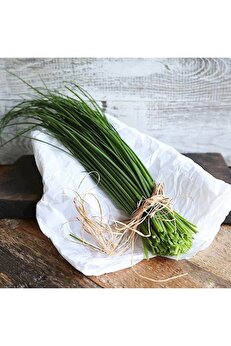 Zengarden Ev Ve Bahçe Onion Chives Frenk Soğanı Tohumu Soğan Otu İnce Yapraklı