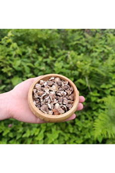 Sağlık Bahçesi Moringa Tohumu (50G)