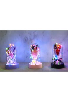 Evimdeyokyok Led Işıklı Müzikli Cam Fanus İçinde Gül Buketi Alk5006