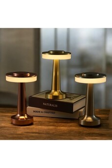 Evimdeyokyok Dekoratif Led Masa Lambası Mz-600 1 Adet