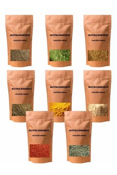 Aleyna Bitkisel Maxi Baharat Seti 100 Gr 8Li
