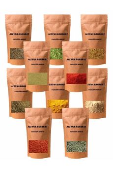 Aleyna Bitkisel Baharat Seti 10 Çeşit Lüx Baharat Seti 100 Gr Paketlerde