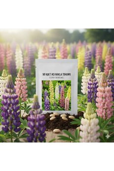 Bade Shop 50 Adet Acı Bakla Tohumu - Lupin Çiçeği Tohumu Karışık Renk (Lupinus)