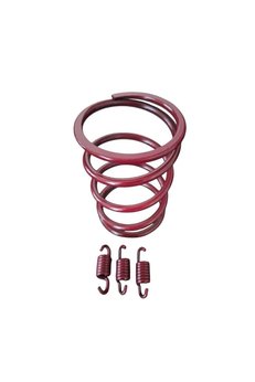 Speedup Rks Borelli 125 Speed Up Yayı + Arka Varyatör Balata Yayı - 1500 Rpm