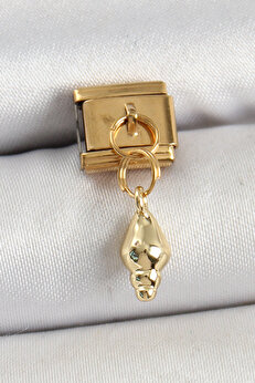 Ayrstore 316L Çeli̇k Sallantılı Deni̇z Kabuğu Model Gold Renk Nomi̇nati̇on Charm - Tj-Bc1437