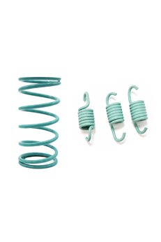 Speedup Arora Malibu Speed Up Yayı + Arka Varyatör Balata Yayı - 1750 Rpm