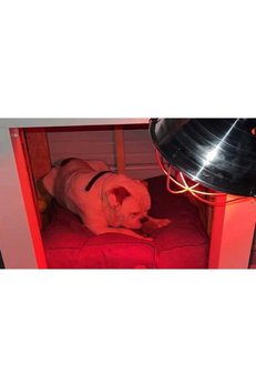 İnfrared Isıtıcı Ampul Lamba Kırmızı 200 Watt