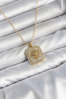 Evimdeyokyok 316L Çelik Zincir Gold Aslan Madalyon Model Zirkon Taşlı Kadın Kolye Tj-Bko11139