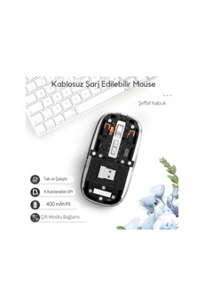 Evimdeyokyok Siyah 501 Bt+ Wireless Mouse Zr1133