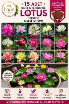 Bade Shop 15 Adet Karışık Lotus (Nilüfer) Çiçeği Tohumu – Japon Su Zambağı – Kase Lotus – Çimlendirme Zımparası Hediyeli