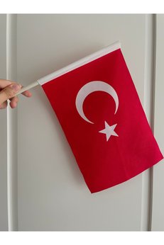 AKYILDIZ store 20x30 cm Sopalı Türk Bayrağı – Alpaka Bez Kumaş