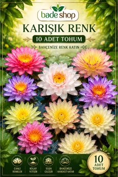 Bade Shop 10 Adet Karışık Renk Katmerli Lotus (Nilüfer) Tohumu – Egzotik Su Bahçesi Çiçeği