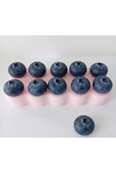 Kalıpcınızburada Bluberry Silikon Kalıp - K10002
