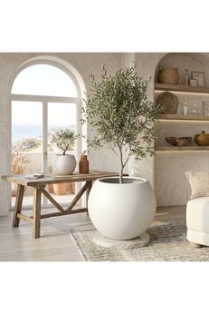CANBOTANİK İÇ Drenaj Hazneli 30 cm Yuvarlak Saksı Salon Saksı Küre Saksı 30 Cm Beyaz Saksı Plastik Saksı Çiçek Saksısı