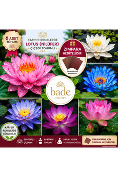 Bade Shop 6 Adet Karışık Renklerde Lotus (Nilüfer) Çiçeği Tohumu -Çimlendirme Zımparası Hediyeli