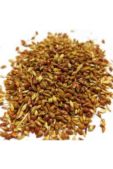 Ziraat Evim Süpürge Otu Tohumu 100 Gr