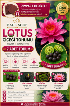 Bade Shop 7 Adet Karışık Renk Lotus (Nilüfer) Tohumu – Çimlendirme Zımparası Hediyeli