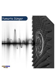 Evimdeyokyok Akustik Yumurta Sünger 60 Dns 25Mm 50X50 Cm 100 Adet