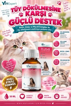 Vitexpert Hızlı Etkili Tüy Dökülmesi Önleyici Yetişkin Yavru Kısır Tüm Kediler İçin Sağlıklı Parlak Tüyler Tüy ve Deri Sağlığı Desteği Biotin Çinko Plus B Complex Tüy Dökümünü Azaltan Multivitamin Damlası 50 ml