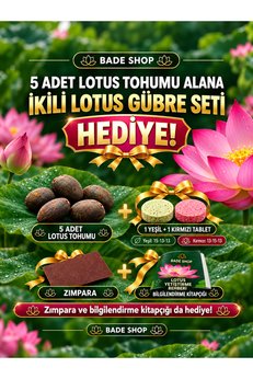 Bade Shop Lotus Yetiştirme Seti – 5 Adet Tohum + İkili Gübre Seti, Zımpara Ve Bilgilendirme Broşürü Hediyeli