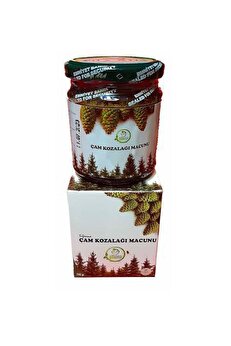 Herbary Şifaana Çam Kozalak Macunu 240 Gram 1 Kutu