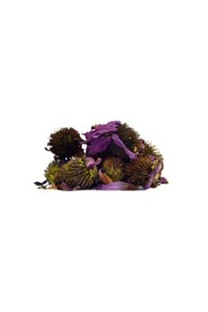 Atasagun Şifa Ekinezya 500 G Paket