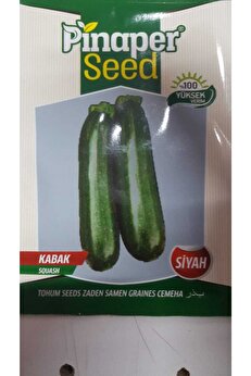 Pi̇naper Seed Kabak Si̇yah Tohumu 1 Paket %100 Yüksek Veri̇mli̇di̇r.